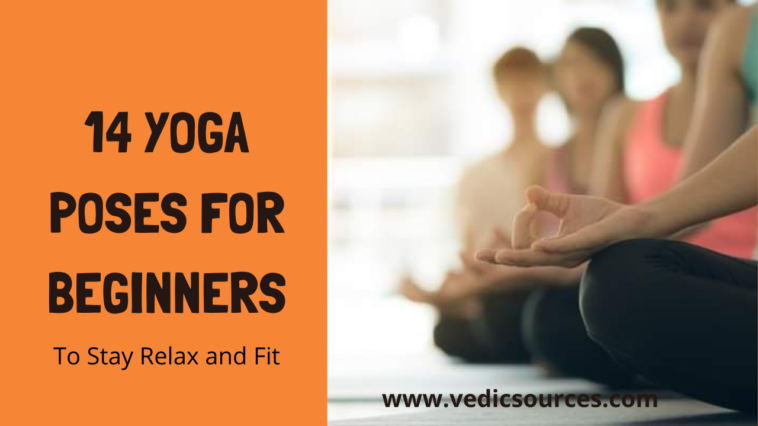 14 Simple Yoga Poses for Beginners - Vedic Sources