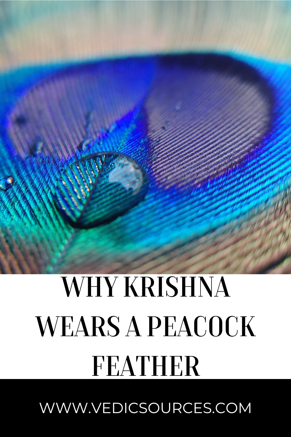 Why Krishna Wears Peacock Feather